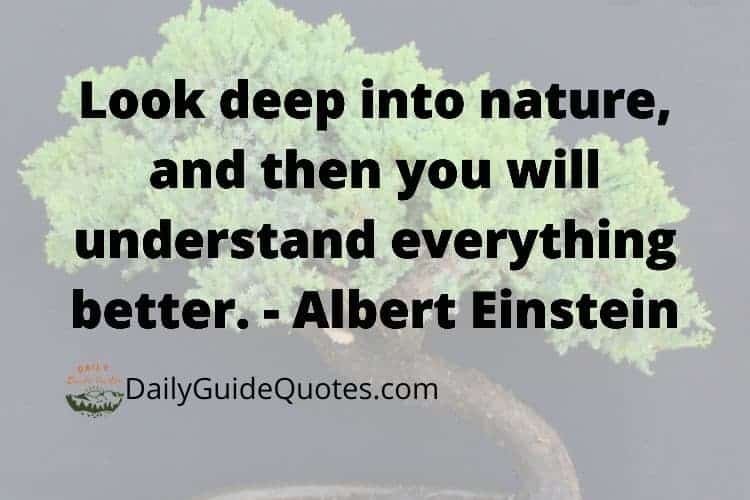 Look deep into nature, and then you will understand everything better. - Albert Einstein