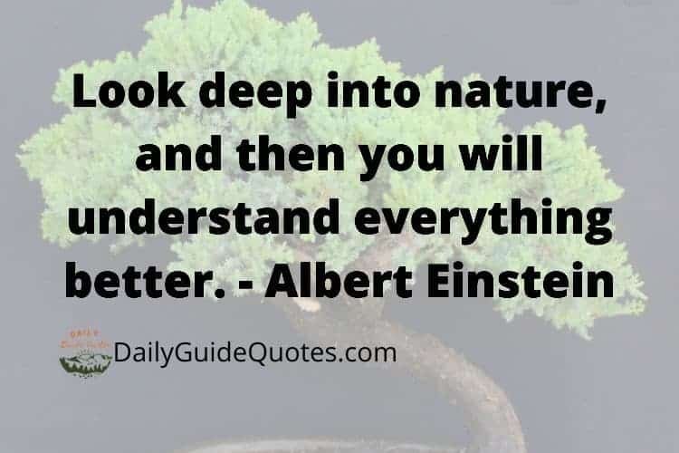 Look deep into nature, and then you will understand everything better. Albert Einstein – Guide Quotes