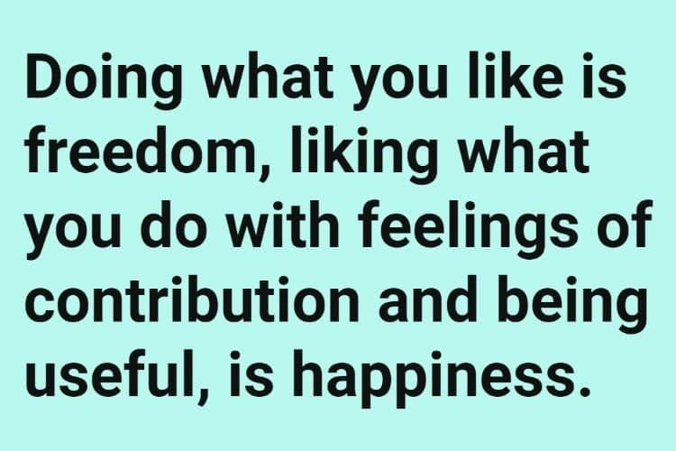 Doing what you like is freedom, liking what you do with feelings of contribution and being useful, is happiness. 